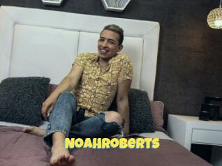 NoahRoberts