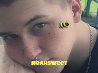 NoahSweet