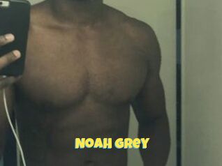 Noah_Grey