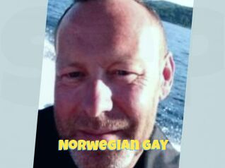 Norwegian_gay