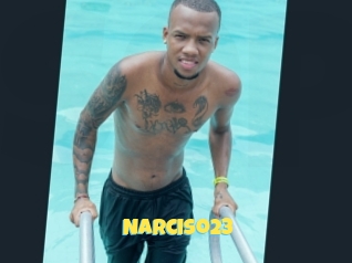 Narciso23