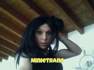 Ninietrans