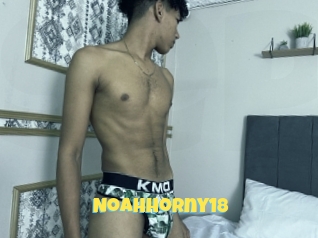 Noahhorny18