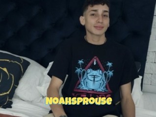 Noahsprouse