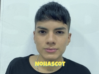 nohascot Sexe et Porno