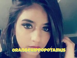 OrangeHippopotamus