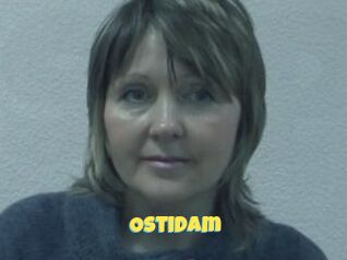 OstiDam