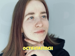 Octaviafinch