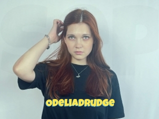 Odeliadrudge