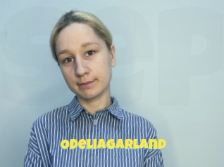 Odeliagarland