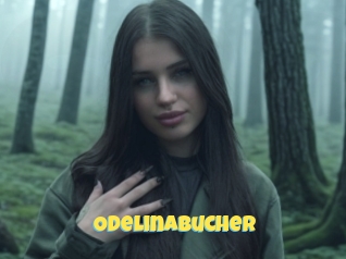 Odelinabucher