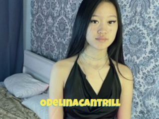 Odelinacantrill