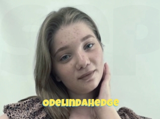 Odelindahedge