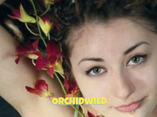 Orchidwild
