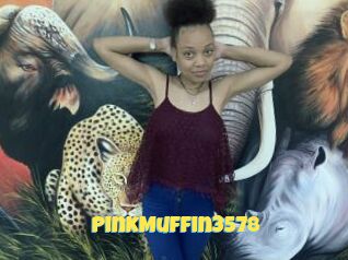 PinkMuffin3578