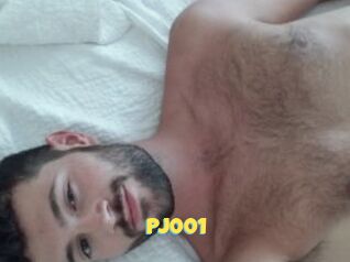 Pj001