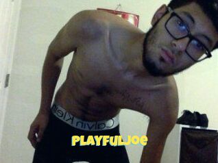 PlayfulJoe