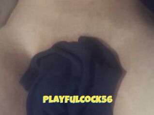 Playfulcock56