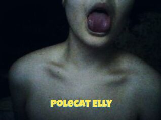 Polecat_Elly