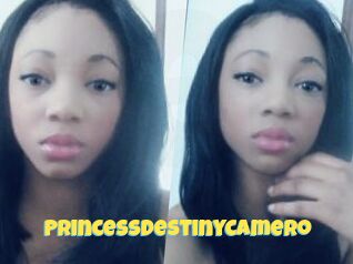 PrincessDestinyCamero