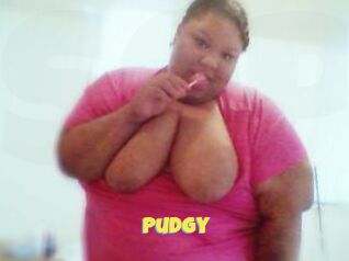 Pudgy