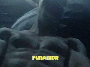 PunaniDr