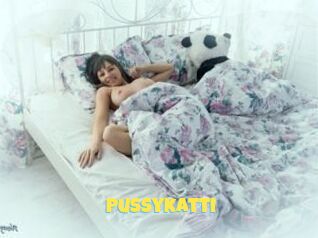 Pussykatti