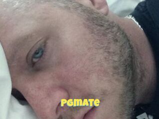 Pgmate