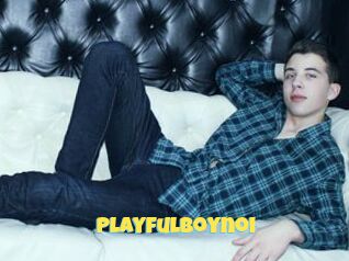 Playfulboynoi
