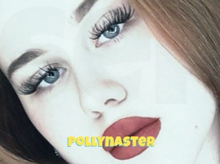 Pollynaster