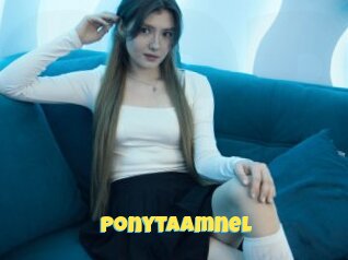 Ponytaamnel