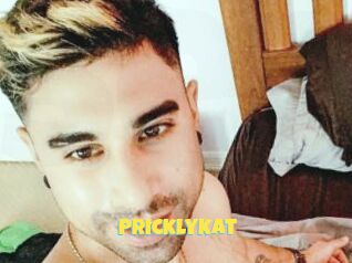 Pricklykat