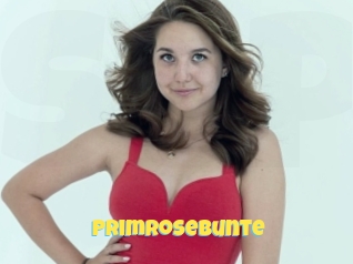 Primrosebunte