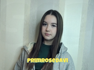 Primrosedavi