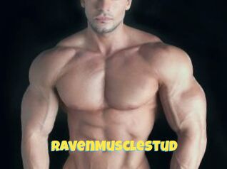RavenMuscleStud