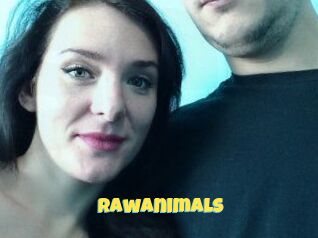 RawAnimals