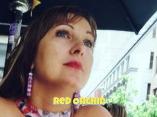 Red_Orchid