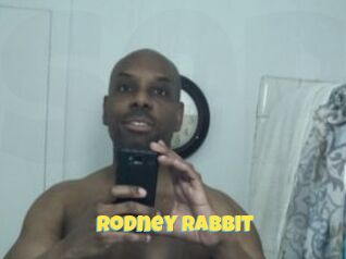 Rodney_Rabbit