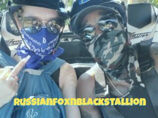 RussianfoxnBlackstallion