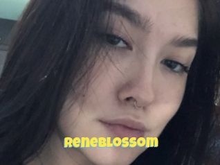 Reneblossom