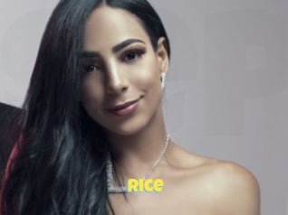 Rice