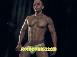 Romeobig22cm