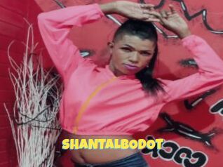 SHANTALBODOT