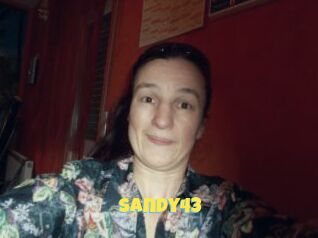 Sandy43