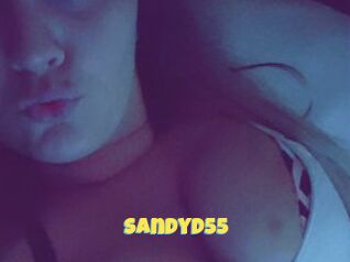 SandyD55