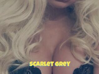 Scarlet_Grey