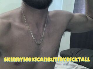 SkinnyMexicanbutmydicktall