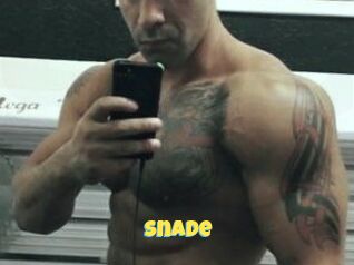 Snade