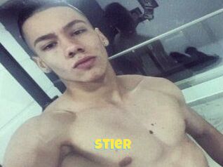 Stier