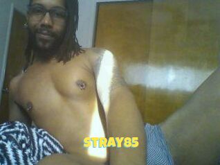 Stray85